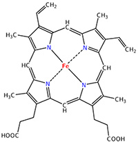  structure d’un hème avec en son centre comme un joyau, l’atome de Fer qui fixe l’oxygène O2.