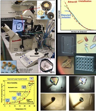 main fig6