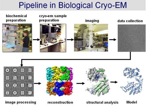 pipeline cryoEM