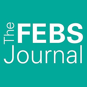 the febs journal