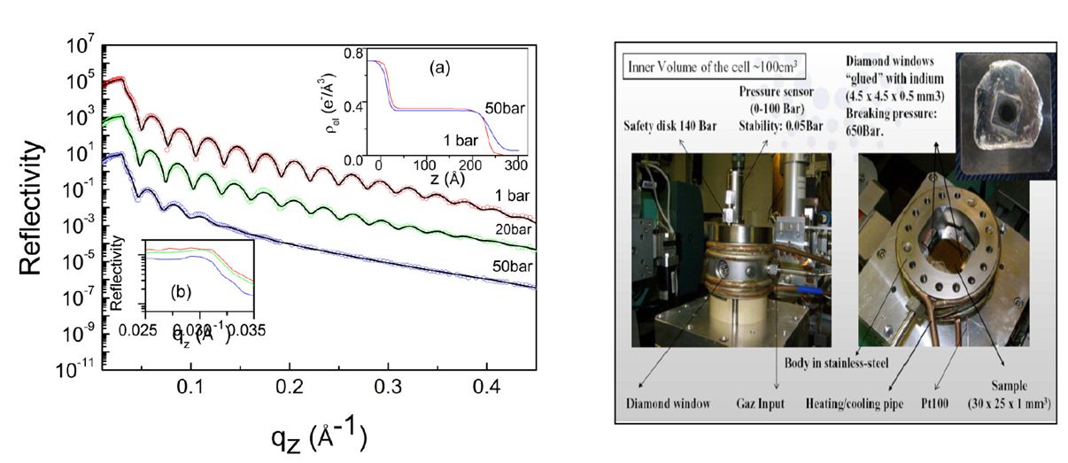 Figure 3 reflex