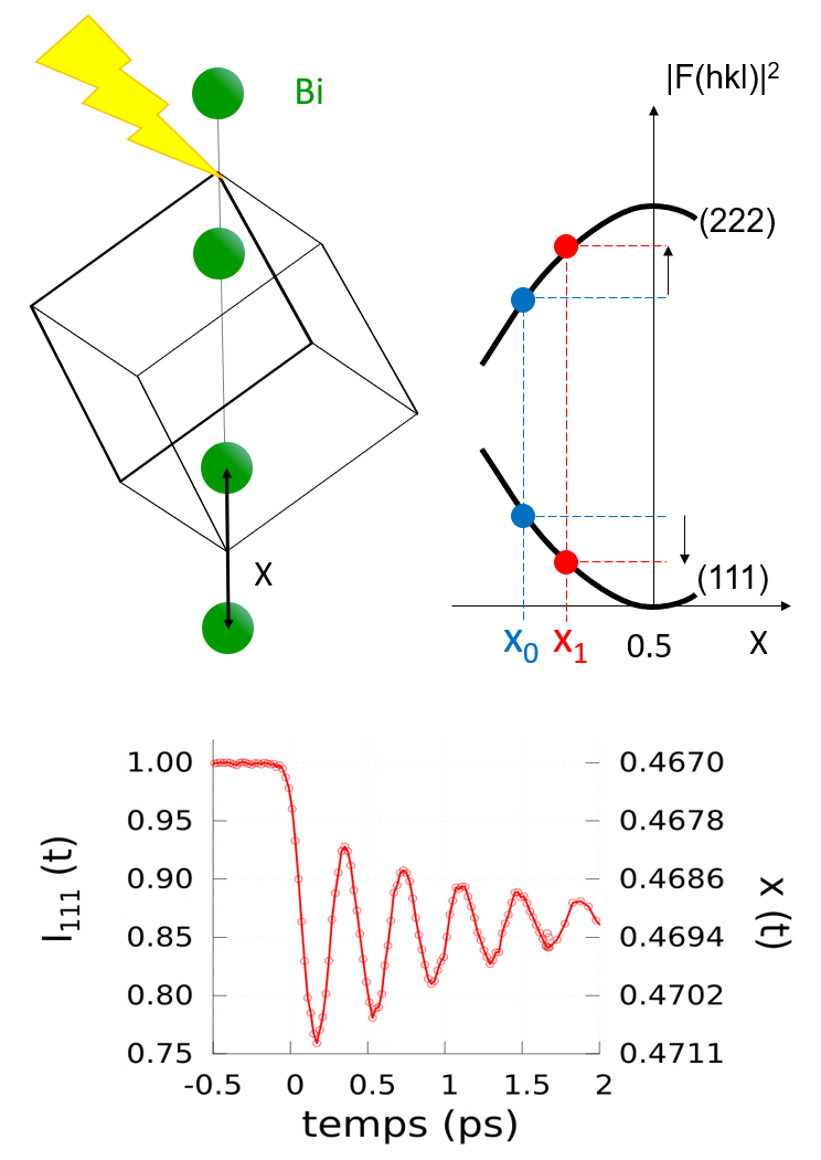 fig1 collet