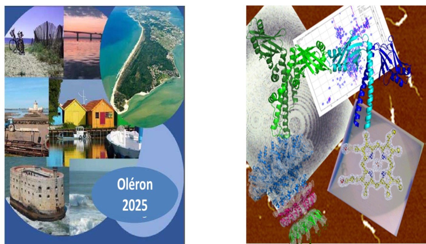 Oleron 2025