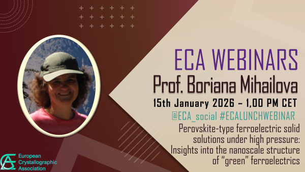 36th ECA Lunch webinar